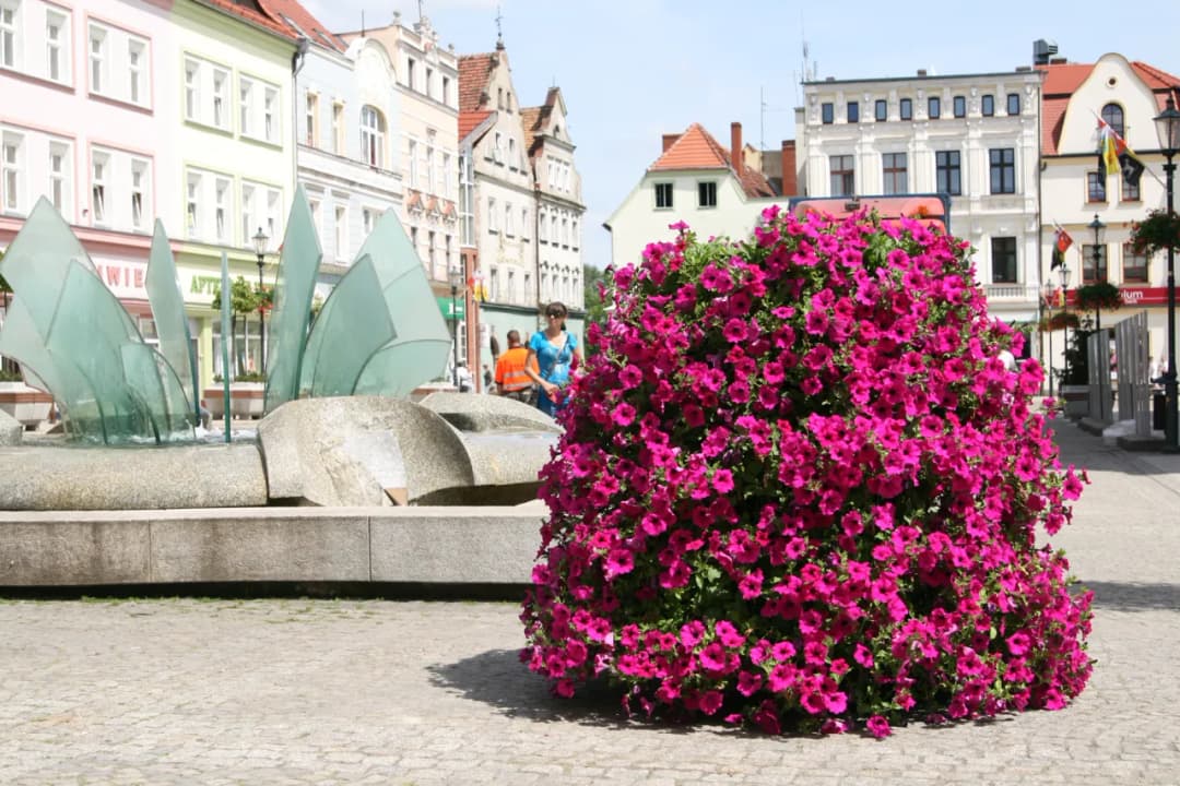 Kwietnik kaskadowy jak zrobić - proste kroki do pięknej aranżacji