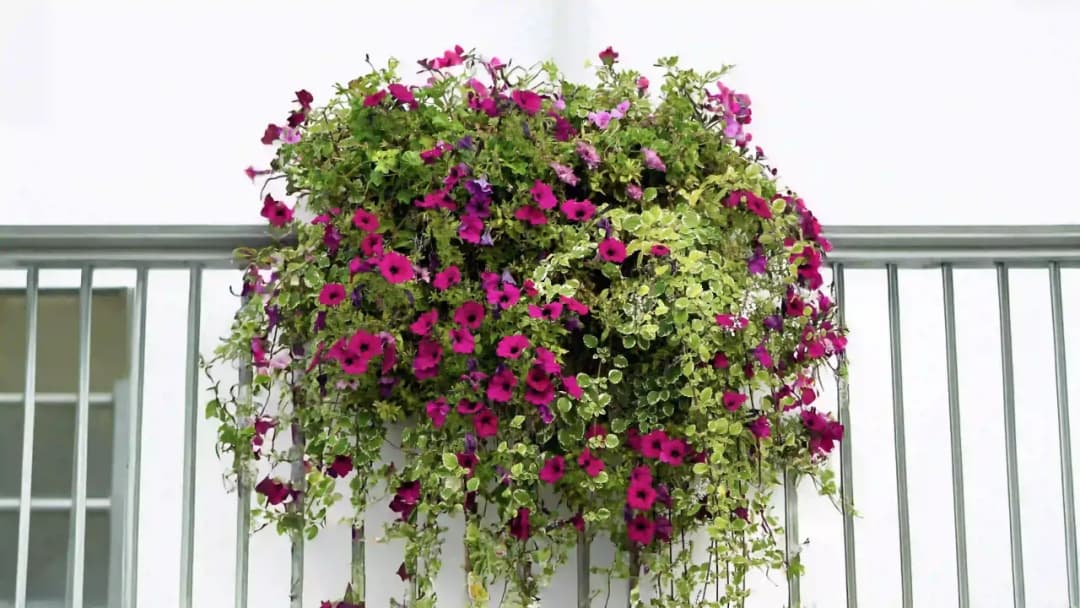 Jakie kwiaty do kwietnika: wybierz idealne rośliny na każdą porę roku