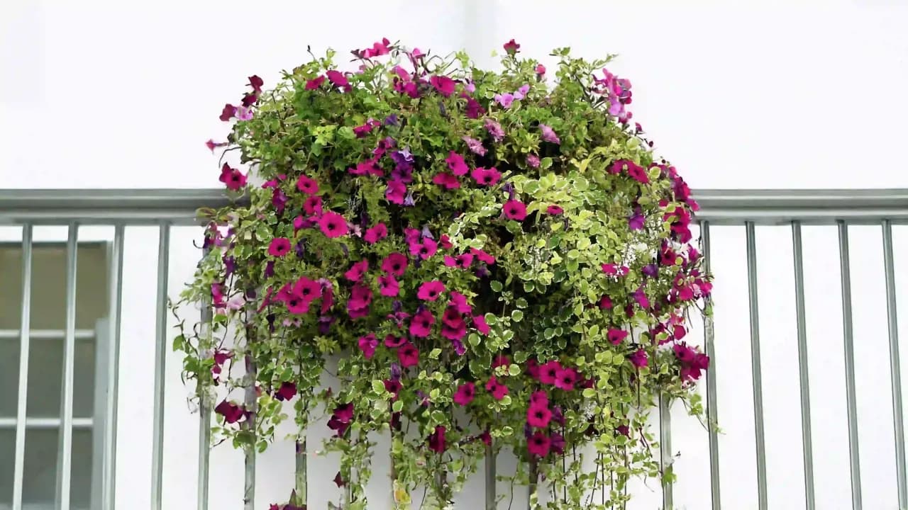 Jakie kwiaty do kwietnika: wybierz idealne rośliny na każdą porę roku