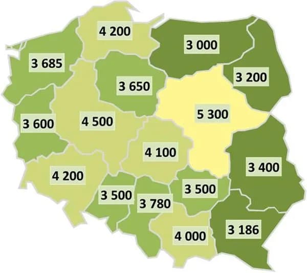 Ile zarabia geodeta po technikum? Zaskakujące fakty o wynagrodzeniach